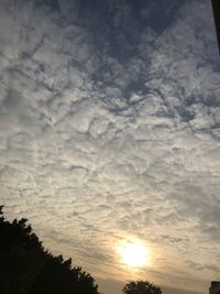 Low angle view of silhouette trees against sky during sunset