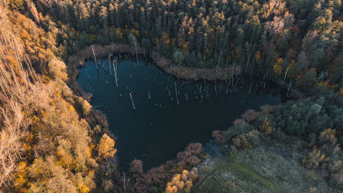 Heart-shaped lake during colourful autumn sunset, czech republic. romantic landscape