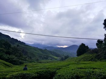 Scenic view of landscape against sky