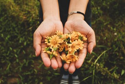 Close-up of hand holding flowers