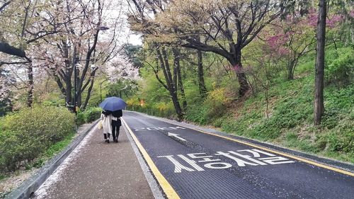 Rear view of man walking on road