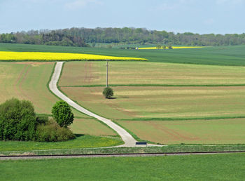 Scenic view of agricultural field against sky