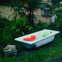 Abandoned boat against plants