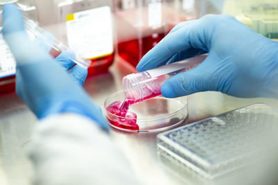 Midsection of scientist examining chemical in laboratory