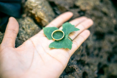 Cropped hand holding gold ring with leaf over rock