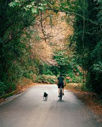 Rear view of man cycling on road in forest