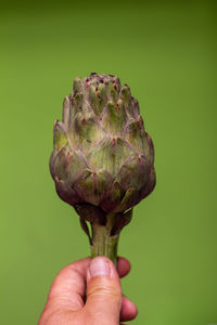 Close-up of hand holding ice cream against green background