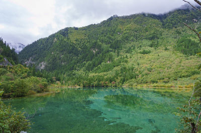 Beautiful scenery landscape in the valley with mountains view at jiuzhaigou valley national park.