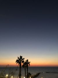 Silhouette palm trees on beach against sky during sunset