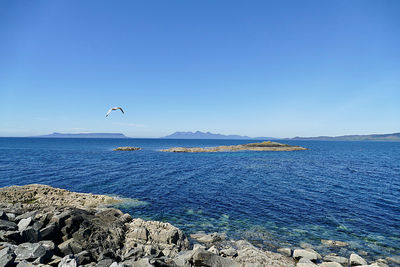 View of birds flying over sea against blue sky
