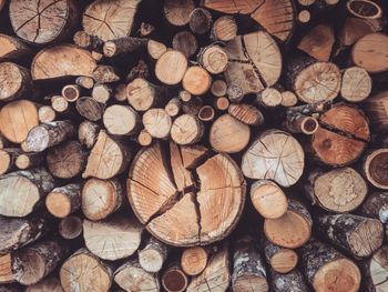 Full frame shot of logs in forest