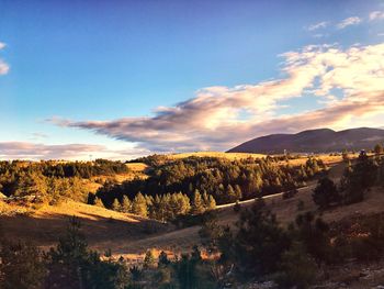 Scenic view of landscape against sky during sunset