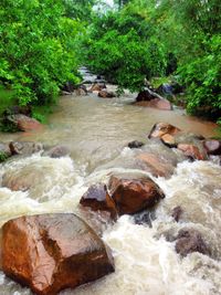 High angle view of crab at beach