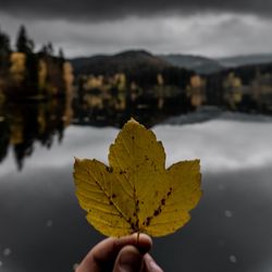 Close-up of hand holding maple leaf during autumn