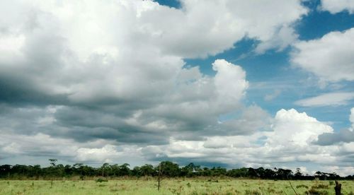 Scenic view of grassy field against cloudy sky