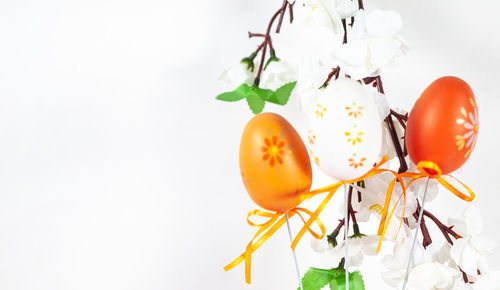 Close-up of fresh orange flower against white background