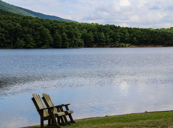 Flock of birds on lake