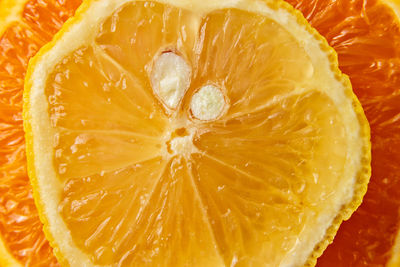 Close-up of orange slices