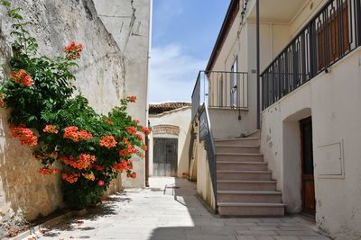 A narrow street among the old houses of irsina in basilicata, region in southern italy.