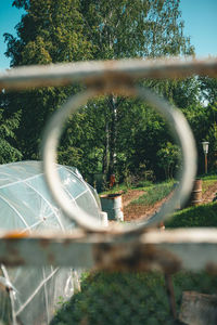 Trees seen through metal fence
