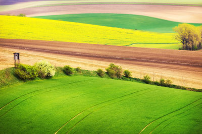 Scenic view of grassy hill