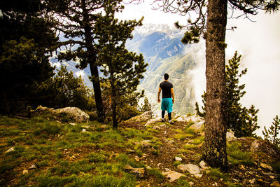 Rear view of man standing on mountain