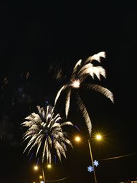 Low angle view of firework display at night
