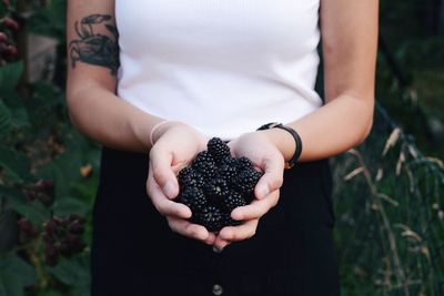 Midsection of woman holding blackberries while standing at farm