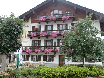 Low angle view of building and trees by house