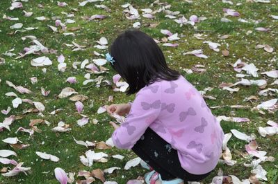 High angle view of girl picking up pink flower petals on field