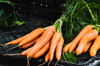High angle view of fresh vegetables