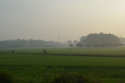 Scenic view of field against sky during foggy weather