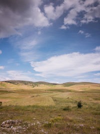 Scenic view of field against sky