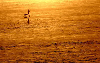 High angle view of silhouette man running with dog at beach during sunset