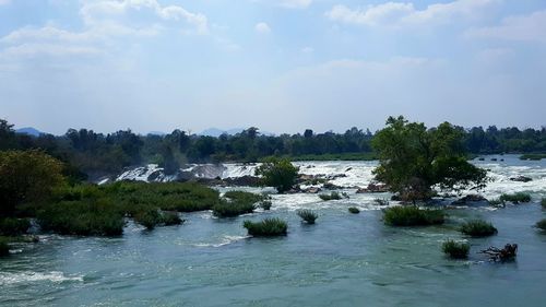 Scenic view of trees against sky