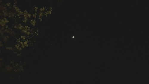 Low angle view of trees against sky