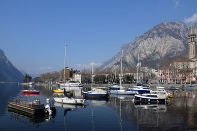 Sailboats moored at harbor against clear sky