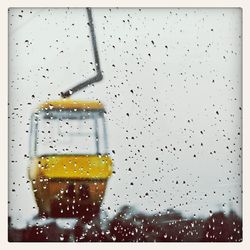 Close up of plant against blurred background