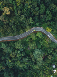 High angle view of road amidst trees in forest