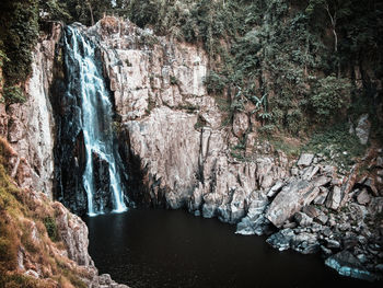 Scenic view of waterfall in forest