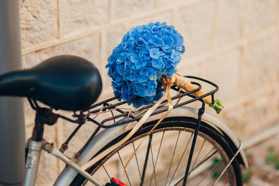 Close-up of bicycle in basket