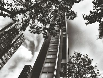 Low angle view of trees against sky