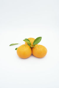 Close-up of orange fruit against white background