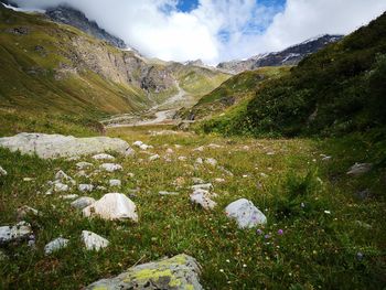 Scenic view of landscape against sky