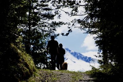 Rear view of people standing by trees in forest
