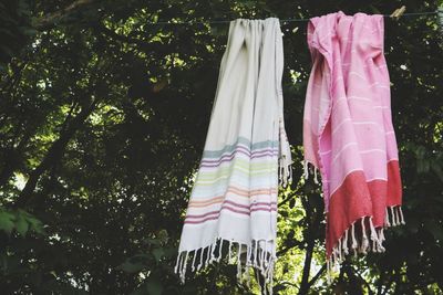 Low angle view of flags hanging on tree