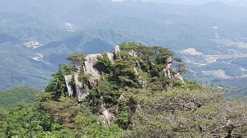 High angle view of trees and mountains against sky