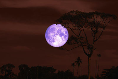 Low angle view of moon against sky at night