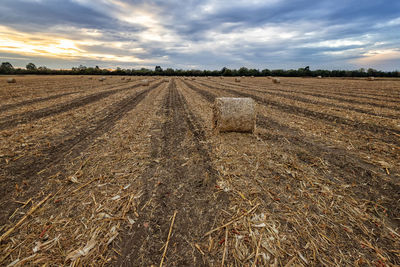 Scenic view of field against sky during sunset