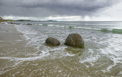 The moeraki boulders at koekohe beach in new zealand